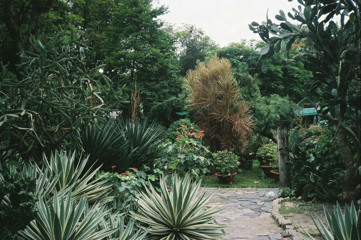 Garden Edging Online: Shopify Redesign & CRO