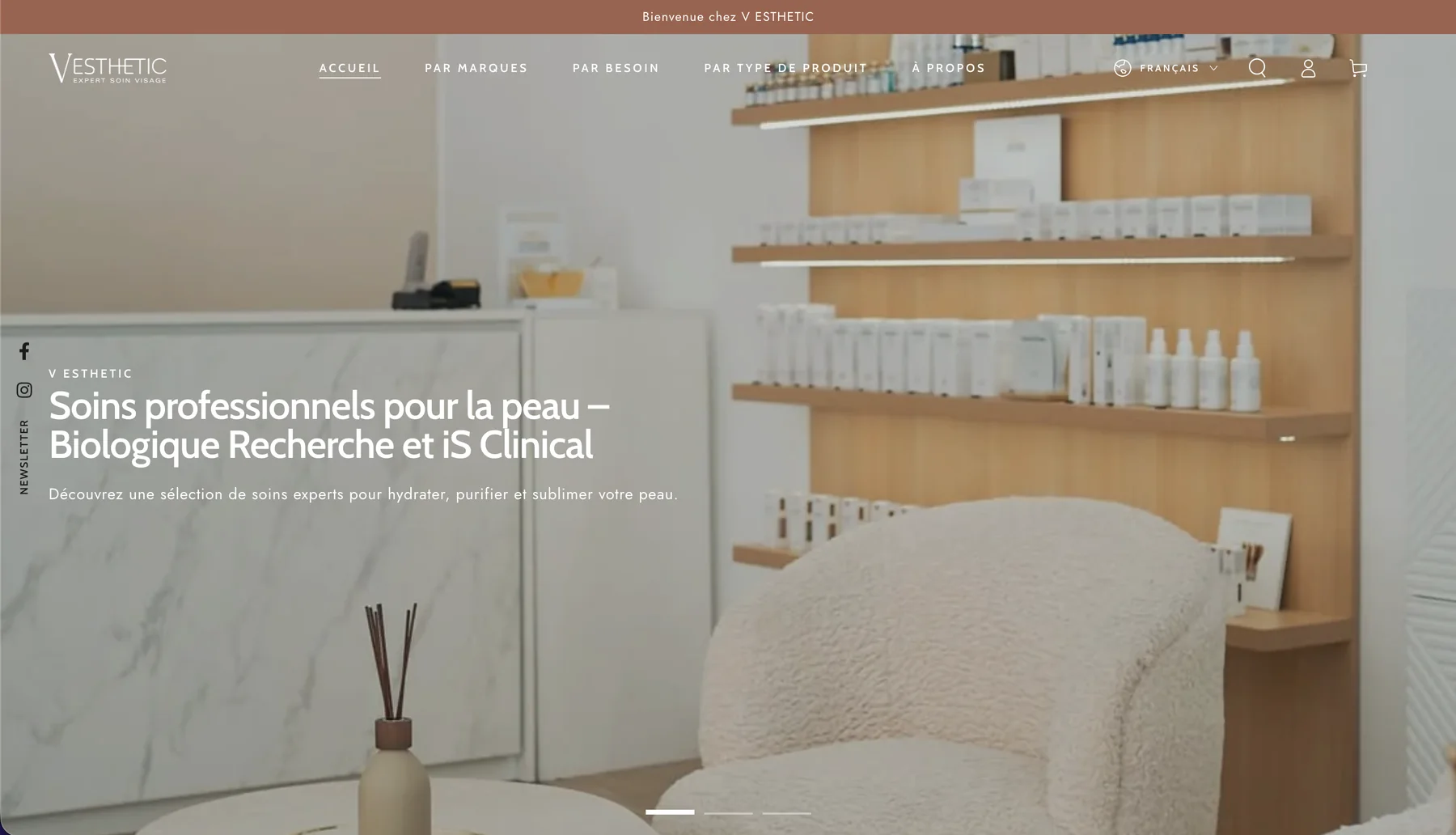 V Esthetic SEO Audit & On-page, above the fold